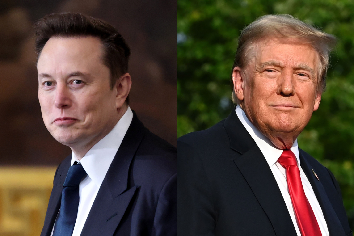 Social Media Goes OFF With Reactions To Elon Musk Professing His Love For Donald Trump