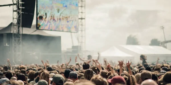 The Curvy Fashionista