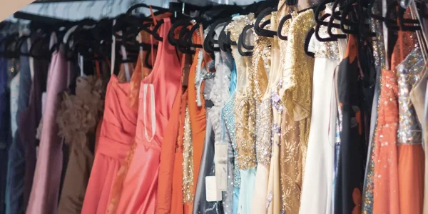 The Curvy Fashionista