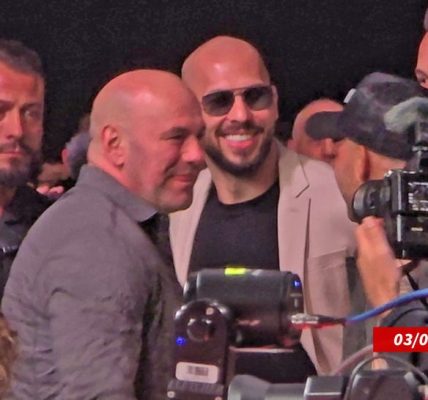 andrew tate dana white sub splash news swip