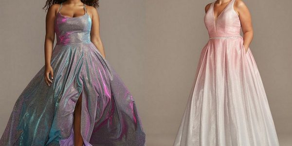 The Curvy Fashionista