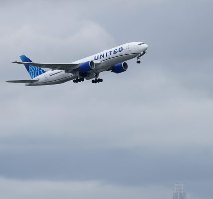 United Airlines Pilot Turns Plane Around For His Forgotten Passport Passengers Offered Credit China
