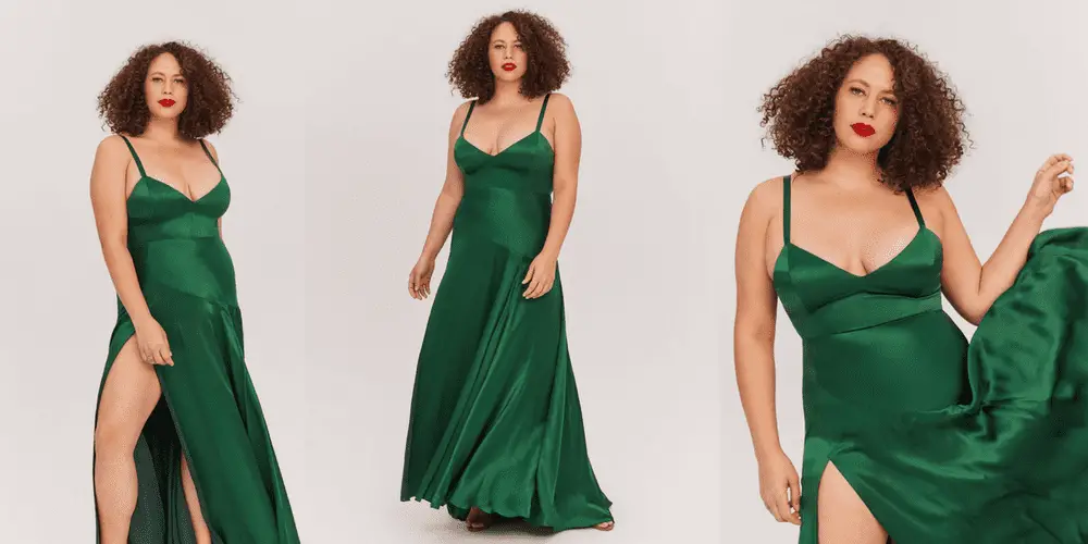 The Curvy Fashionista