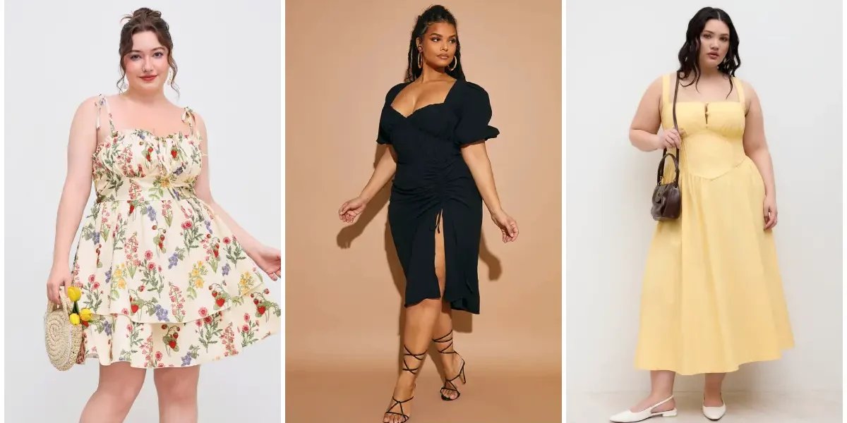 The Curvy Fashionista
