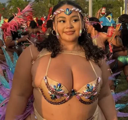 The Curvy Fashionista
