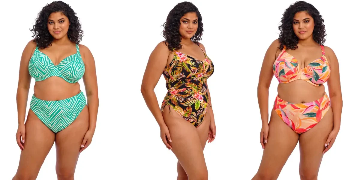 The Curvy Fashionista