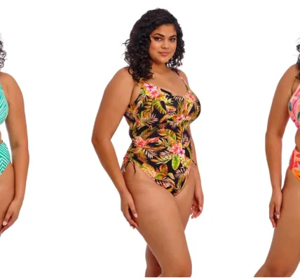 The Curvy Fashionista