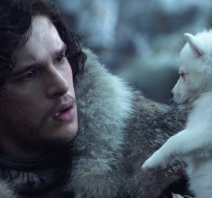 dire wolves