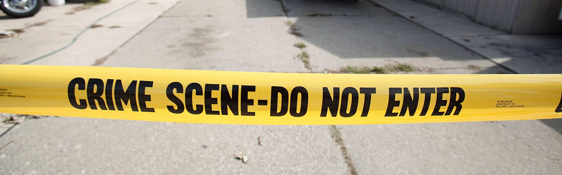 Jordan Love Michigan Woman In Custody Stabs Dog Social Media Post Flees State Faces Charges