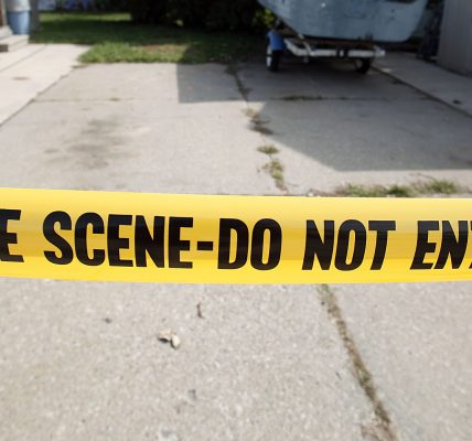 Jordan Love Michigan Woman In Custody Stabs Dog Social Media Post Flees State Faces Charges