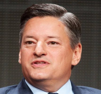 ted sarandos AI