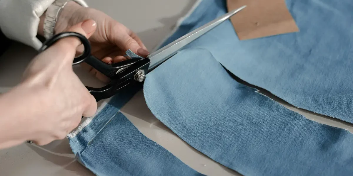 The Curvy Fashionista