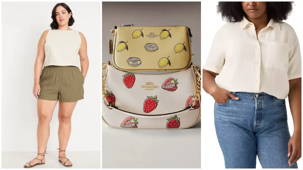 The Curvy Fashionista