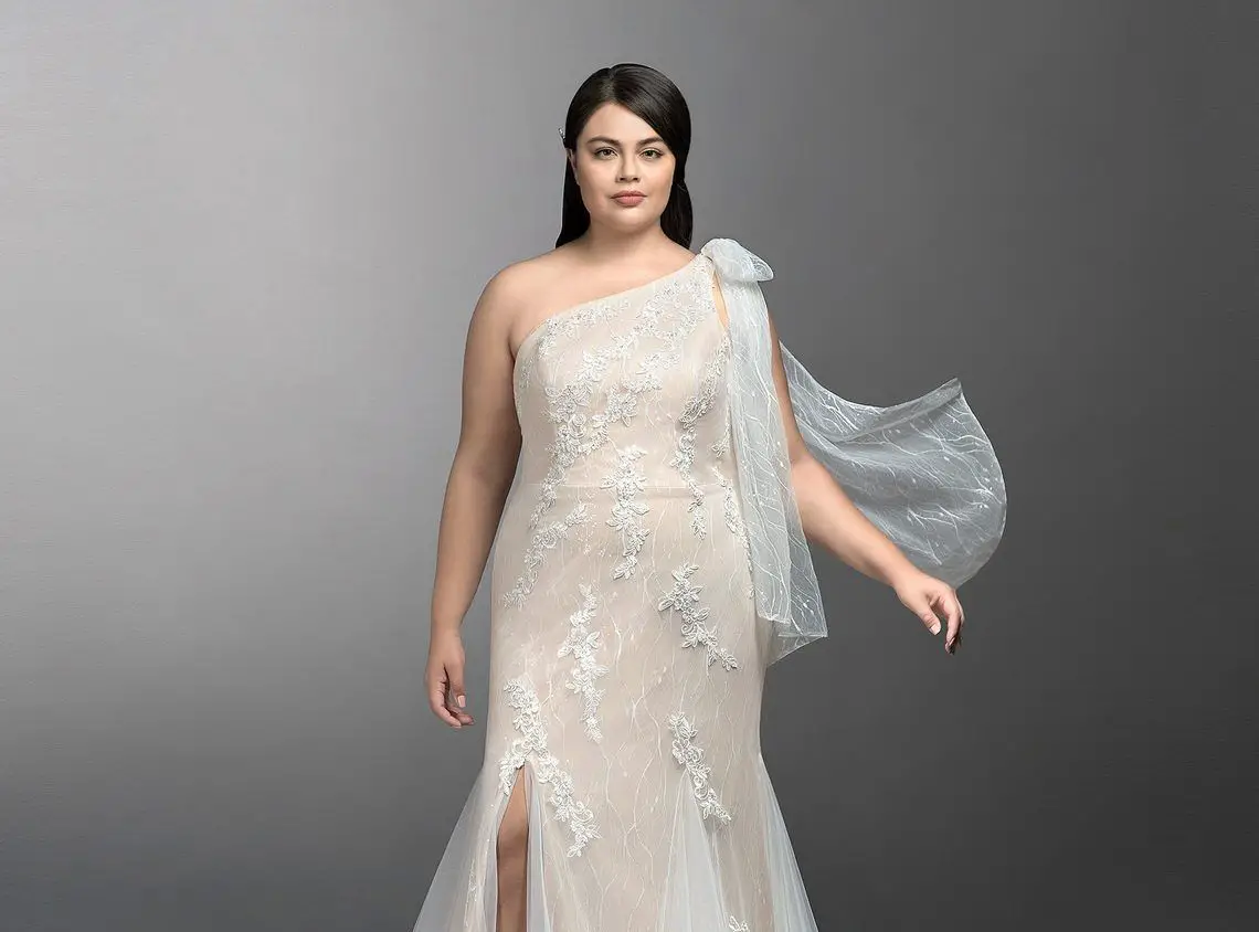 The Curvy Fashionista