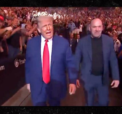 donald trump dana white ufc
