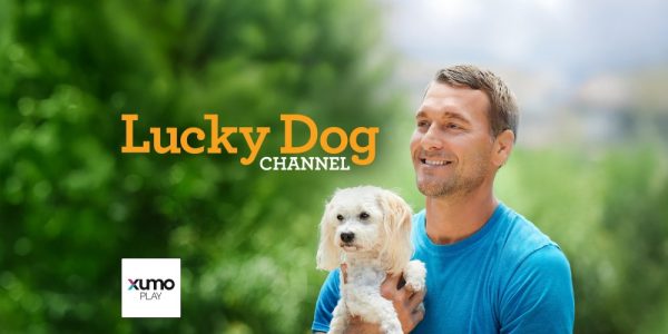 ‘Fortunate Canine’ FAST Channel to Launch on Xumo Play