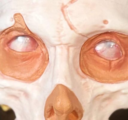 Guillermo del Toro's Frankenstein, popcorn bucket