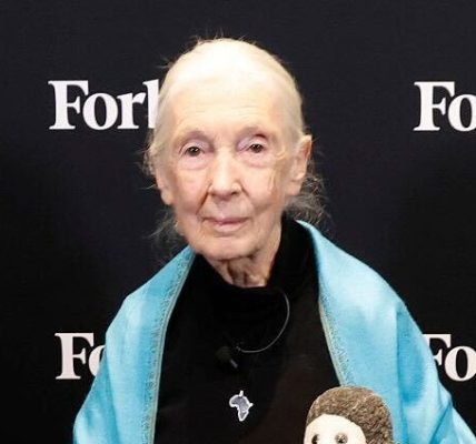 Who Is Jane Goodall? 5 Facts About the Chimpanzee Researcher, Her Movies, Work & More