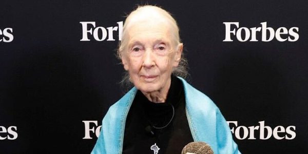 Who Is Jane Goodall? 5 Facts About the Chimpanzee Researcher, Her Movies, Work & More