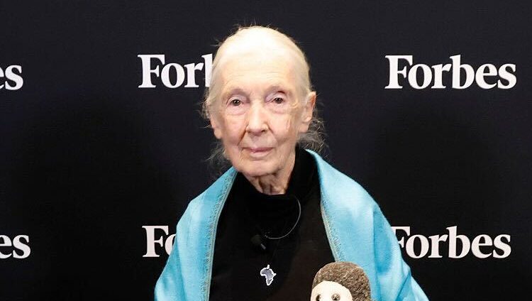 Who Is Jane Goodall? 5 Facts About the Chimpanzee Researcher, Her Movies, Work & More