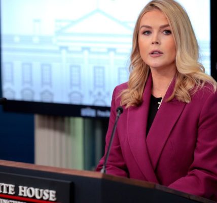 Karoline Leavitt's Kids: Does the White House Press Secretary Have Children?