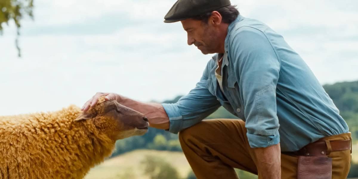 the sheep detectives