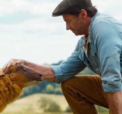 the sheep detectives