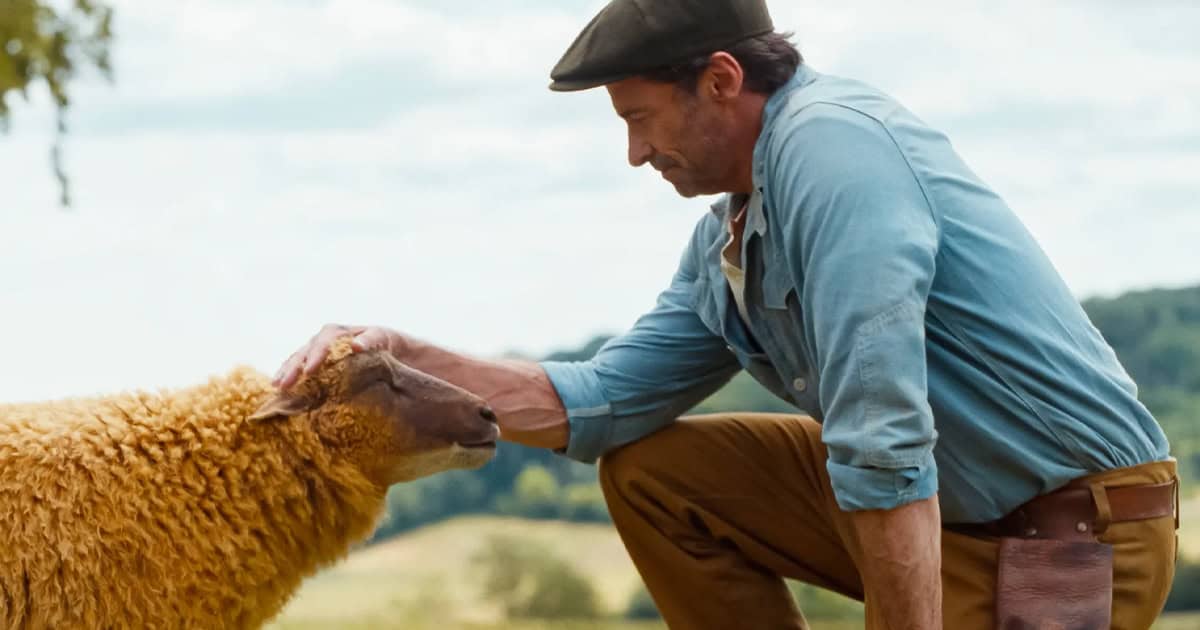 the sheep detectives