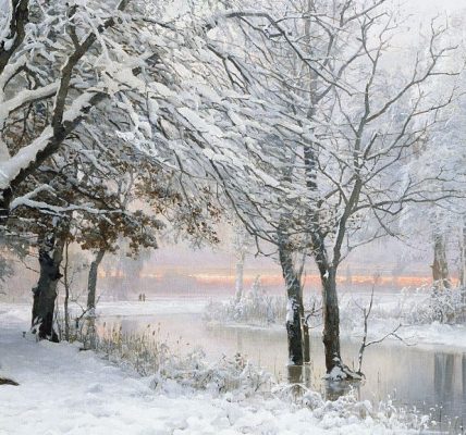 Can Trees Explode in Extreme Cold? Learn About the Exploding Trees Rumor This Winter