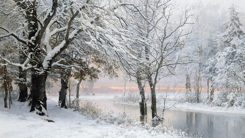 Can Trees Explode in Extreme Cold? Learn About the Exploding Trees Rumor This Winter