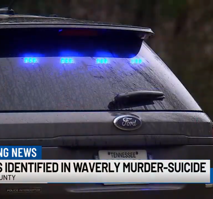 A news image featuring police lights.