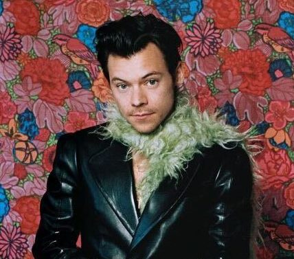 Is Harry Styles Releasing A New Album in 2026? What We Know