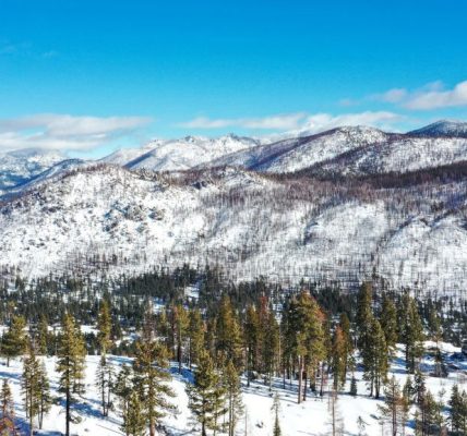 Tahoe Avalanche 2026: Updates on Missing Blackbird Mountain Guides Skiers