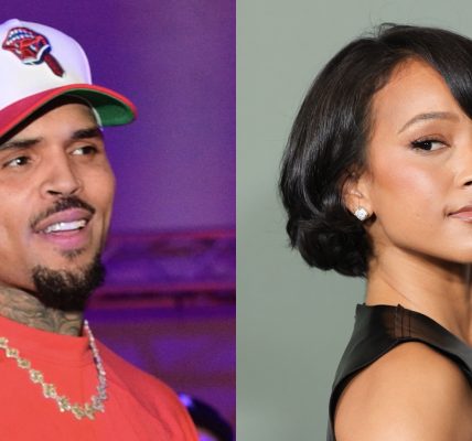 Chris Brown's Apparent Comment To TikToker Who Posted A Clip About Looking Like Karrueche Tran Has Social Media Users Dropping Side-Eyes (VIDEO)