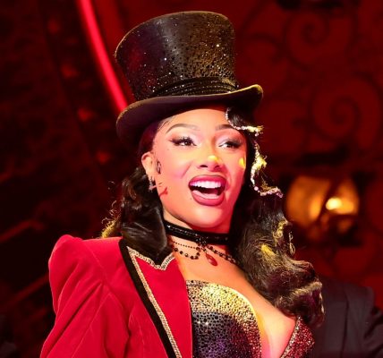 Why Was Megan Thee Stallion Hospitalized After 'Moulin Rouge' Performance? Updates