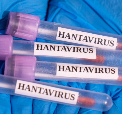 Evacuations For Cruise Ship Begin After Hantavirus Outbreak Leaves Multiple Dead (VIDEO)