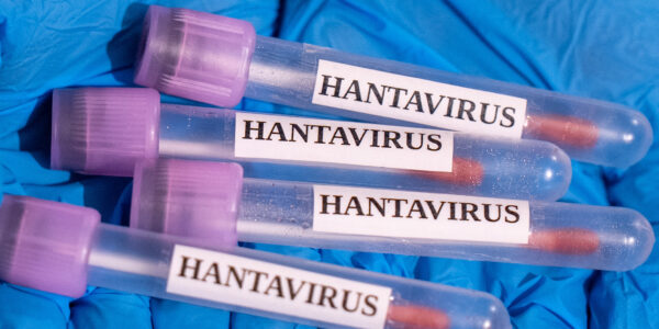 Evacuations For Cruise Ship Begin After Hantavirus Outbreak Leaves Multiple Dead (VIDEO)