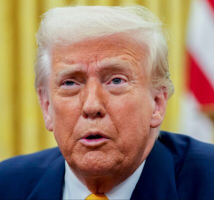 Donald Trump/birthright citizenship/supreme court