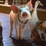 10 Fantasy Movies That Improve on a Second Viewing