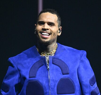 Chris Brown Has The Internet Goin' Wild Over SPICY Moment With Fan On The R&B'Tour