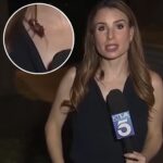 Cockroach Crawls on Reporter During Live TV Segment
