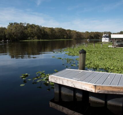 Florida mother dies 4-year-old son Florida mother drowns DeLand Florida St. John's River Nicole Grayson Ed Stone Park