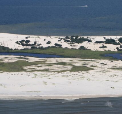 Nolan Xavier Wells Nolan Xavier Wells' friends Nolan Xavier Wells Horn Island Nolan Xavier Wells' remains Horn Island Mississippi