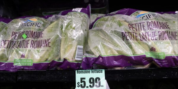 parasitic outbreak parasitic outbreak explosive diarrhea diarrhea parasitic outbreak diarrhea warn consumers