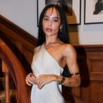 Zoe Kravitz Stuns in Fully See-Through Dress
