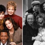 'ALF,' 'Designing Women' and 'Matlock' 40 Years Since Premiere