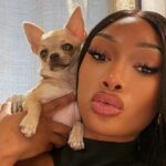 Megan Thee Stallion's Cutout Top Paired with Cheeky Thong