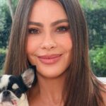 Sofia Vergara Shows Off Curves in Figure-Hugging Dress