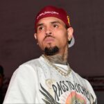 Chris Brown ex former housekeeper Maria Avila dog attack lawsuit update $13 million