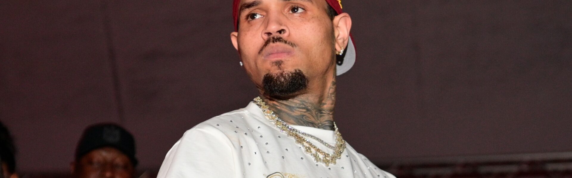 Chris Brown ex former housekeeper Maria Avila dog attack lawsuit update $13 million